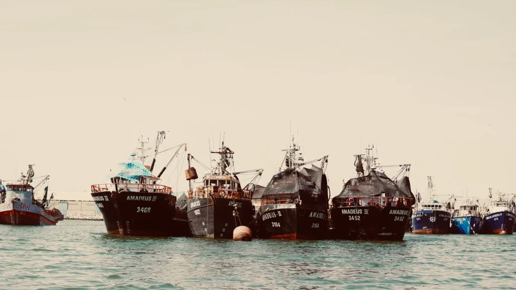 Flota pesquera atracada durante un periodo de parada temporal