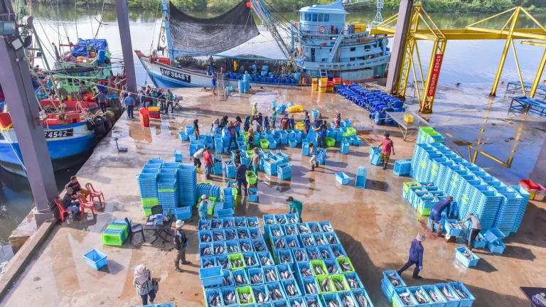 Galicia amplía a 19 millones las ayudas para pymes que transforman productos pesqueros