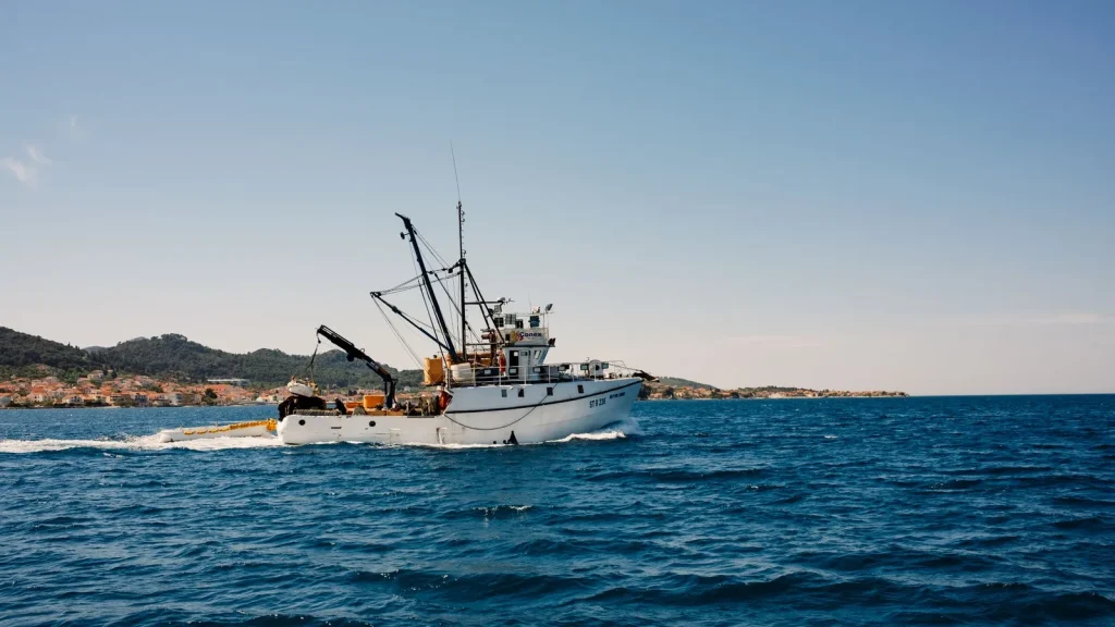 Galicia mantiene hasta el 5 de octubre ayudas a armadores por la parada para proteger cetáceos en el Golfo de Vizcaya