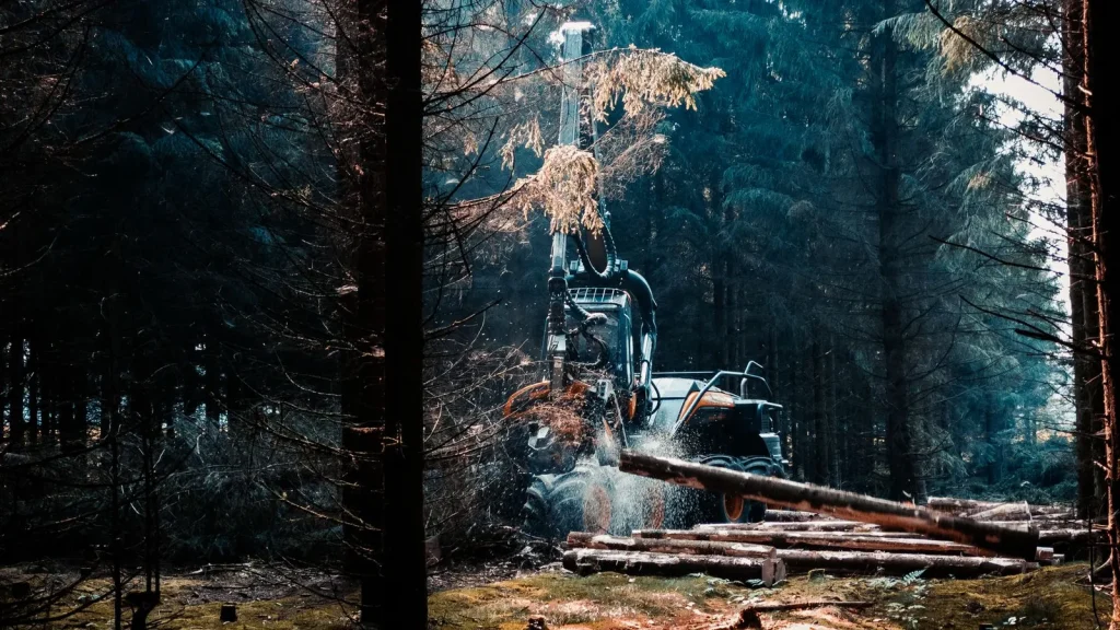 Maquinaria forestal trabajando en una explotación de madera