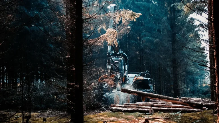 Teruel cierra hoy ayudas de hasta 200.000 euros para pymes y autónomos forestales
